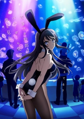 Rascal Does Not Dream of Bunny Girl Senpai Episode 13